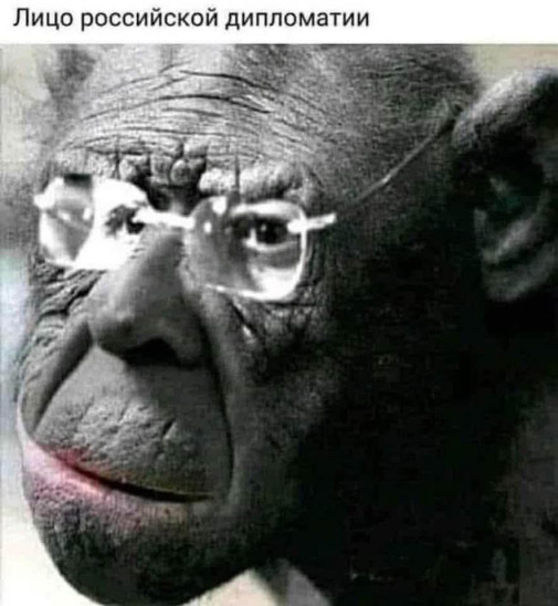 Tvár ruskej diplomacie